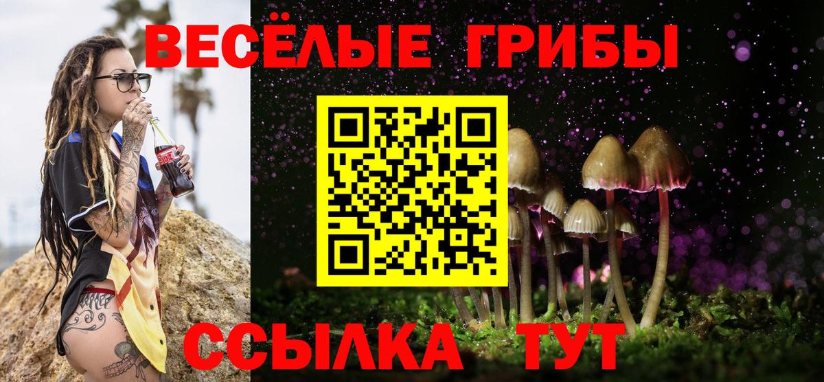 Галлюциногенные грибы MAGIC MUSHROOMS Чистополь