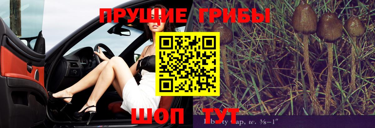 Галлюциногенные грибы Magic Shrooms  Вход с VPN  Чистополь 